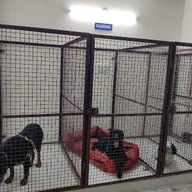 Urban Vet Pet Clinic photo