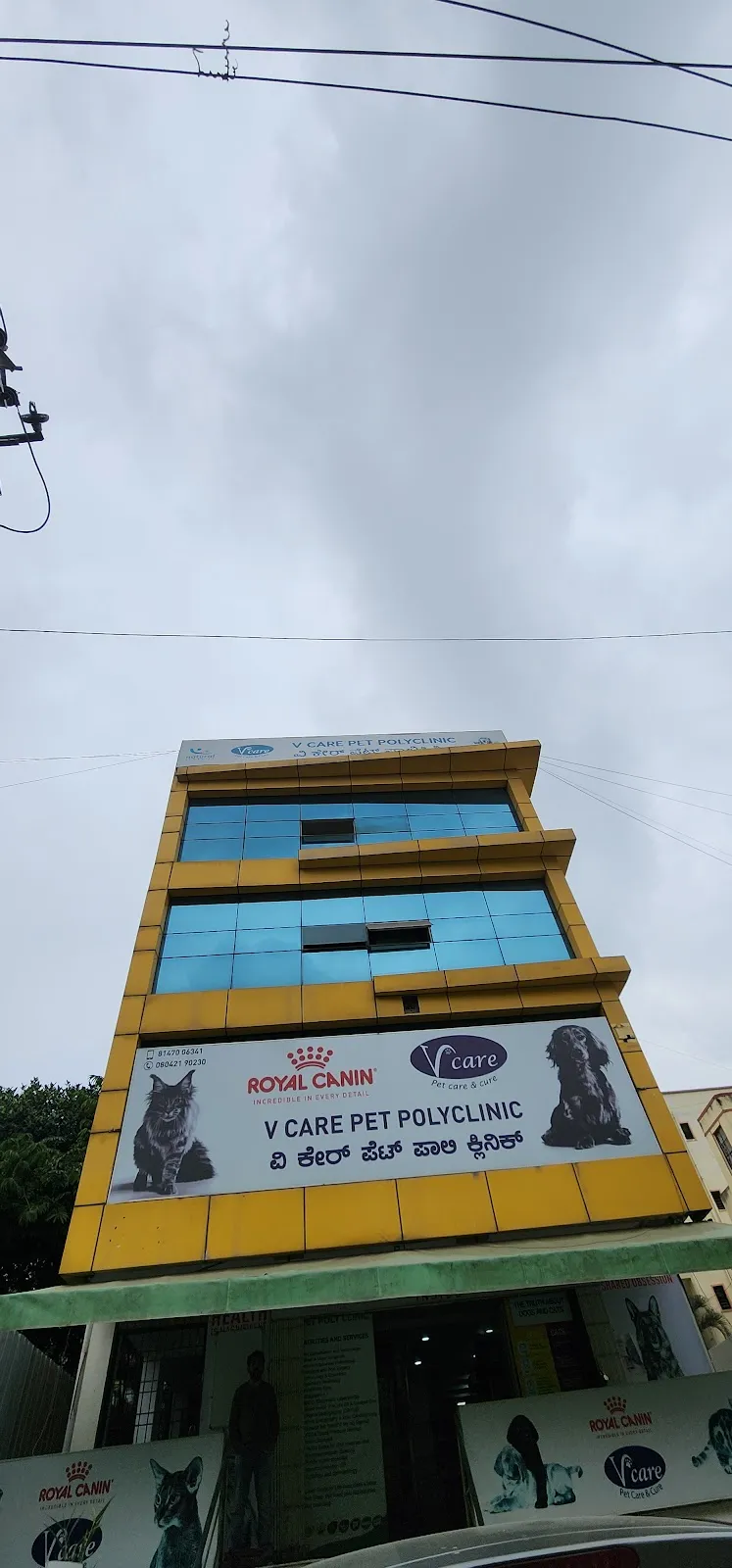V Care Pet Polyclinic photo