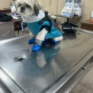 Val _ Uu_ vet veterinary clinic photo