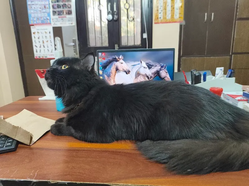 Vedic Pets Clinic and Surgery Center photo