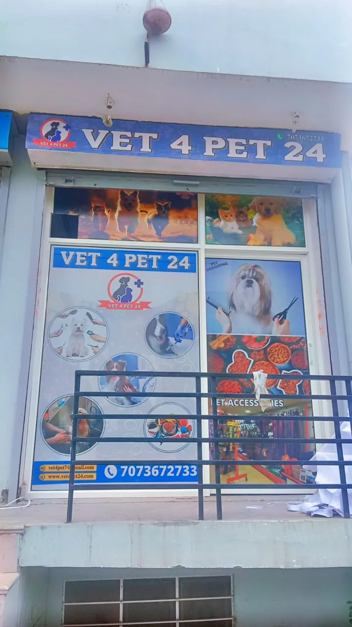 VET 4 PET 24 photo