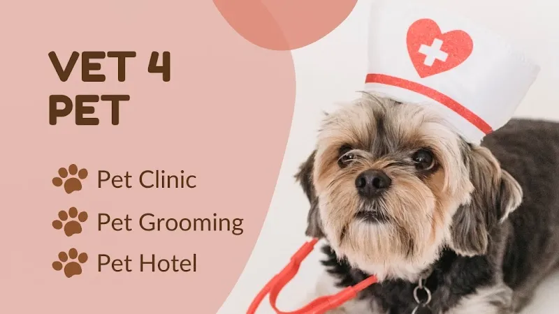 VET 4 PET photo