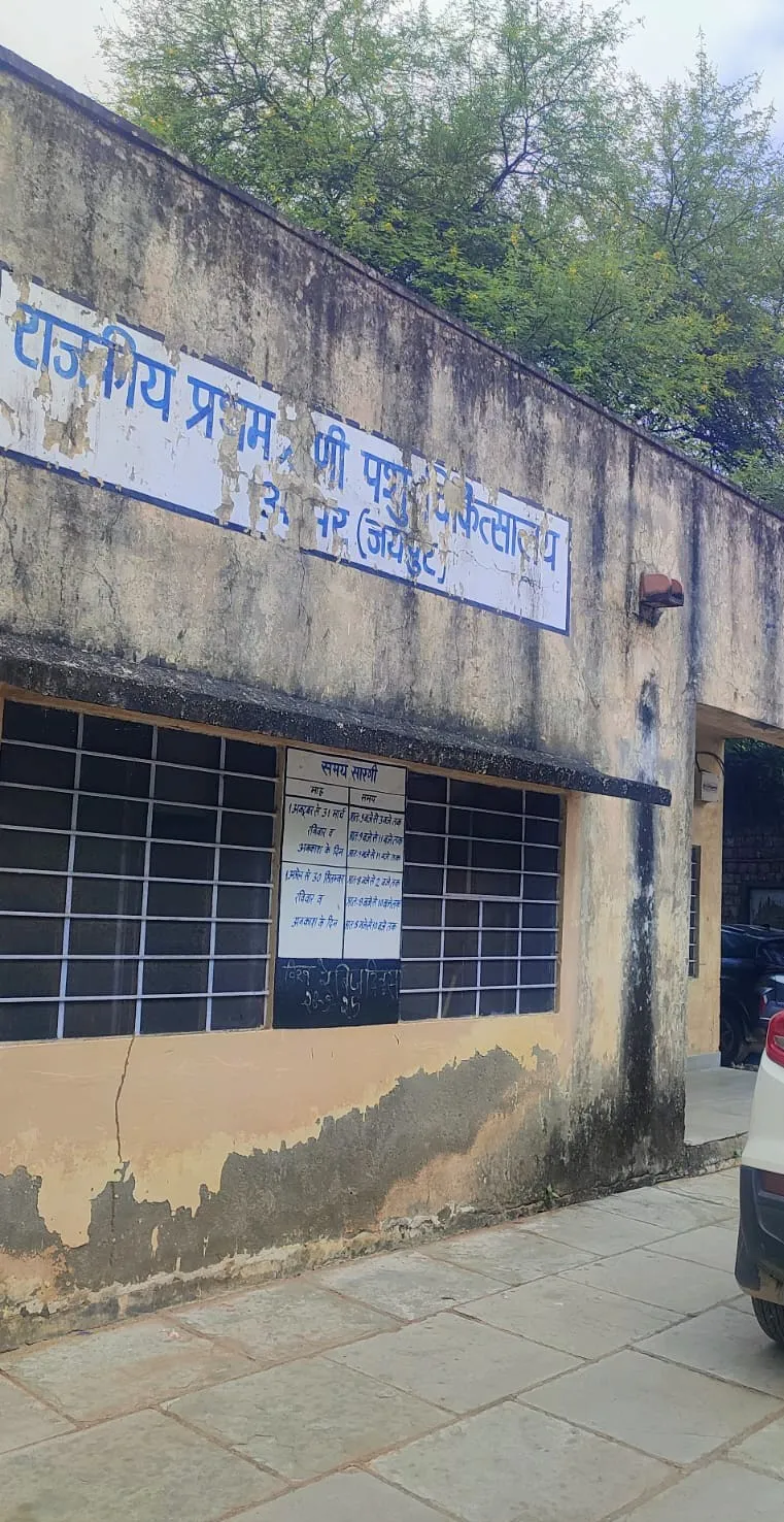 राजकीय प्रथम श्रेणी पशु चिकित्सालय आमेर जयपुर photo