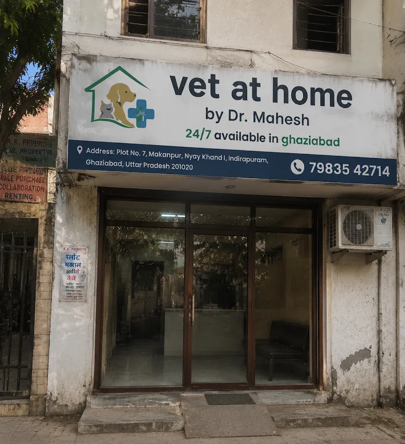 vet at home by Dr. Mahesh 24/7 available in ghaziabad photo