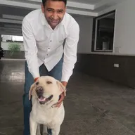 Vet At Home By Dr. Rahul Yadav | Pet clinic in Gurgaon | 24*7 photo