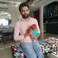 Vet at home – Home Veterinary Services in Delhi photo