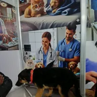 VET BEEN photo