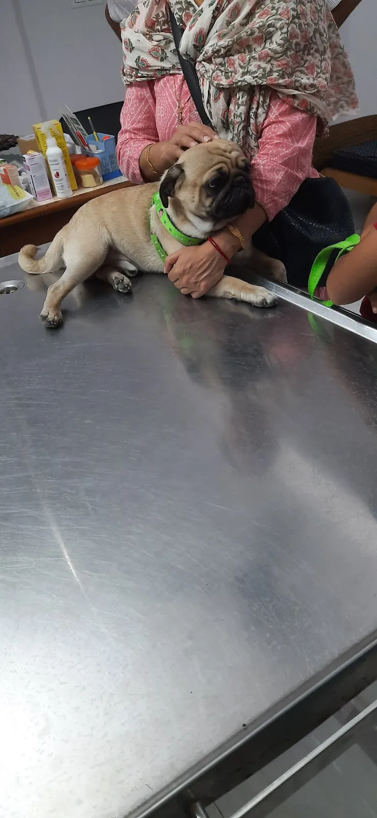 Vet Fort Pet Clinic (Khirki Extension) photo