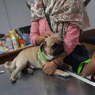 Vet Fort Pet Clinic (Khirki Extension) photo