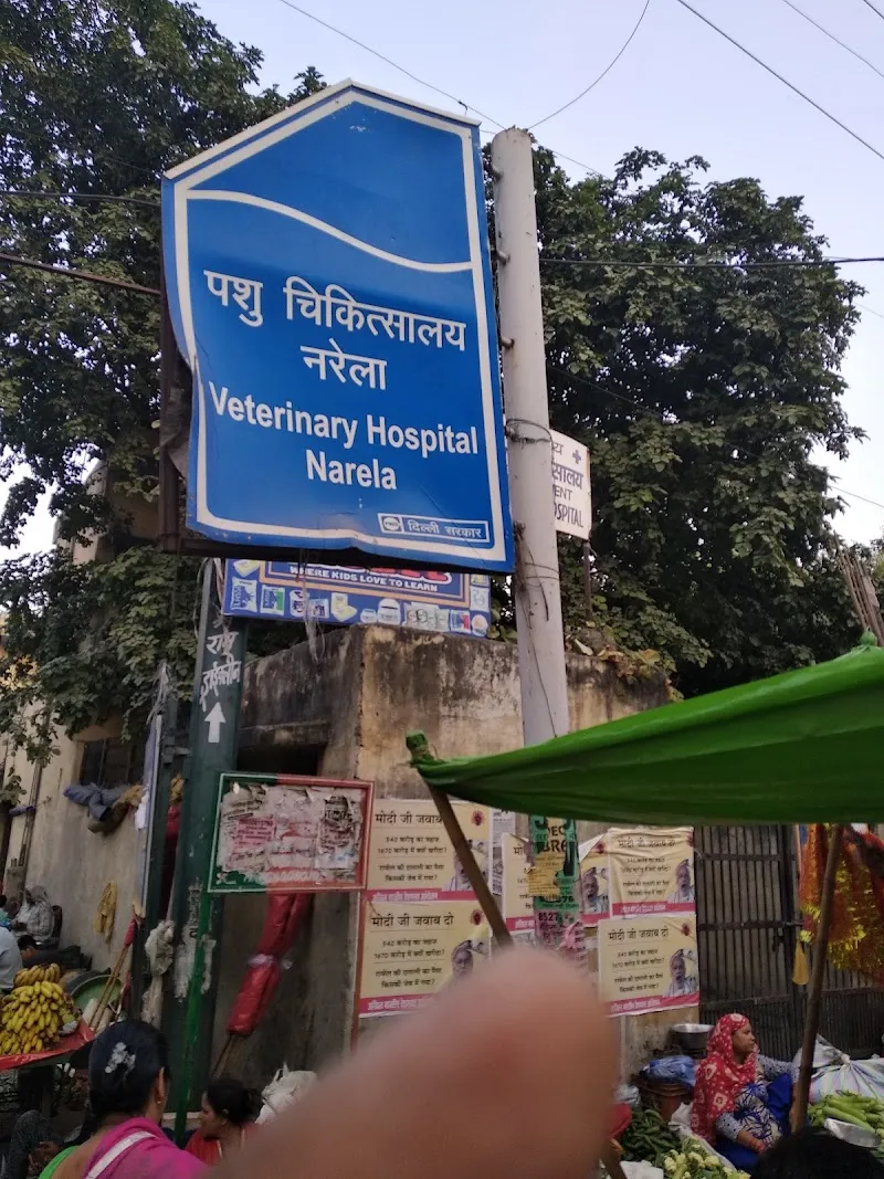 पशु चिकित्सालय photo