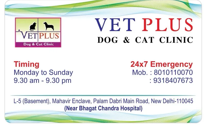 VET PLUS Dog & Cat Clinic South West Delhi photo