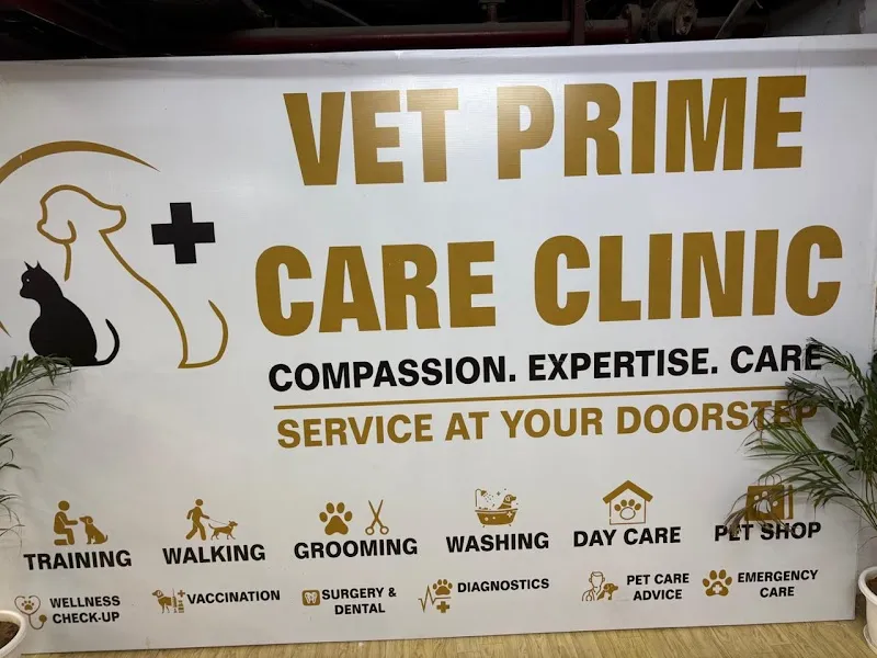 Vet Prime Care Clinic photo