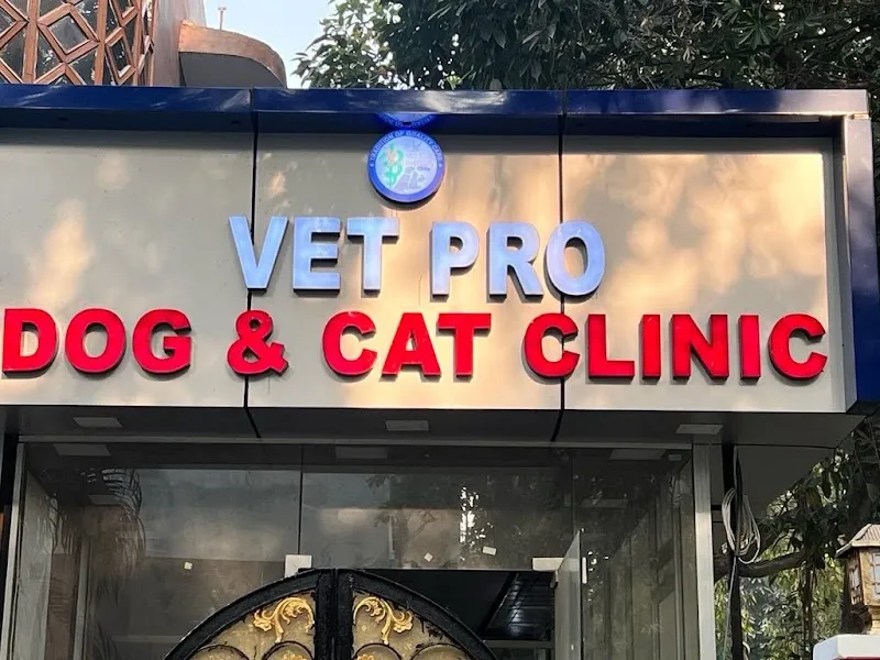 Vet Pro Dog and Cat Clinic (Alpha-1, Greater Noida) photo
