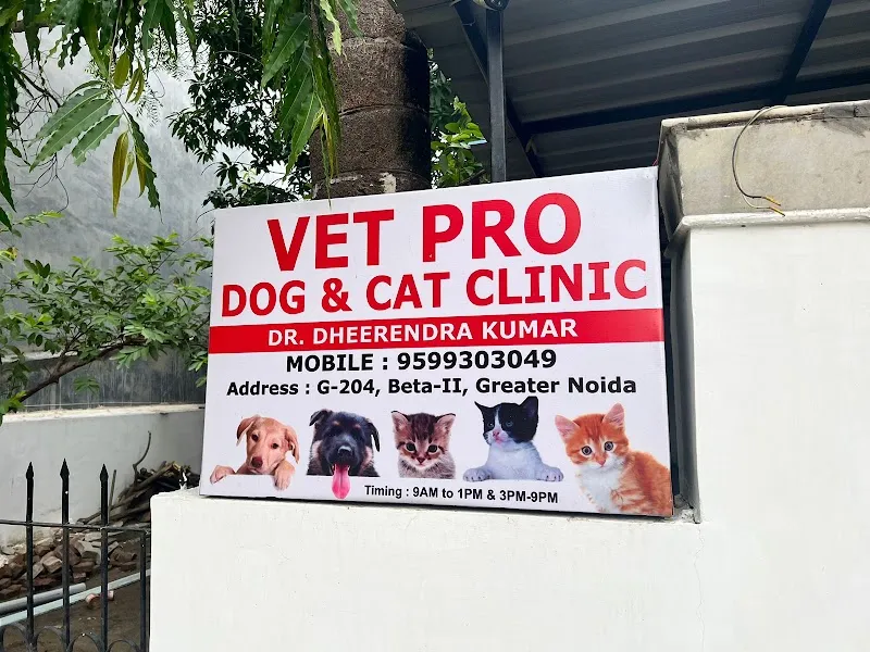 Vet Pro Dog and Cat Clinic (Beta II, Greater Noida) photo