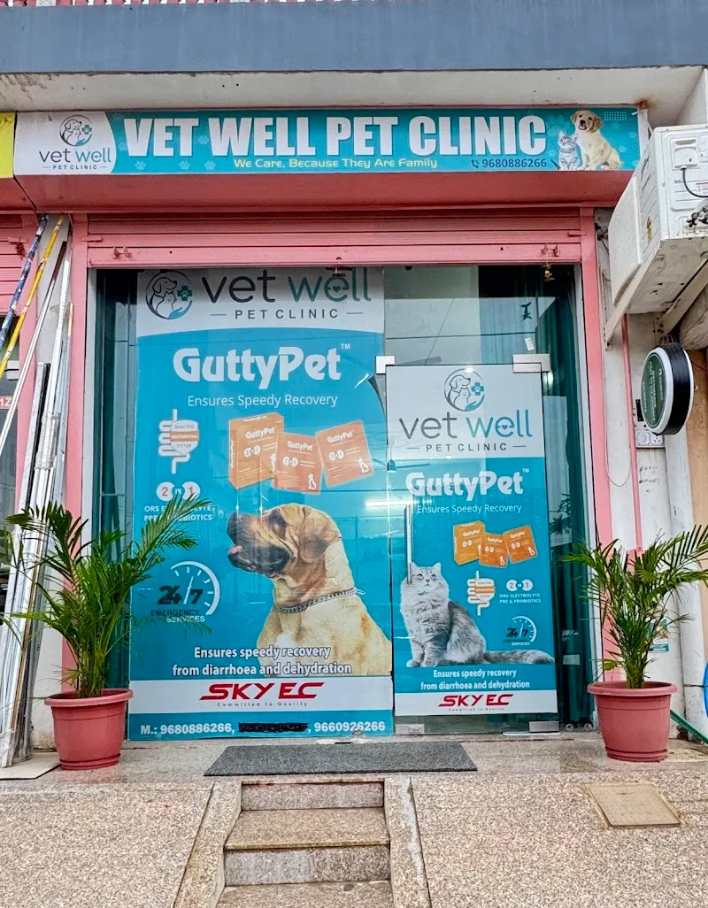 Vet Well Pet Clinic ( A Unit of Dr. Rohit Pet Well Clinic) photo