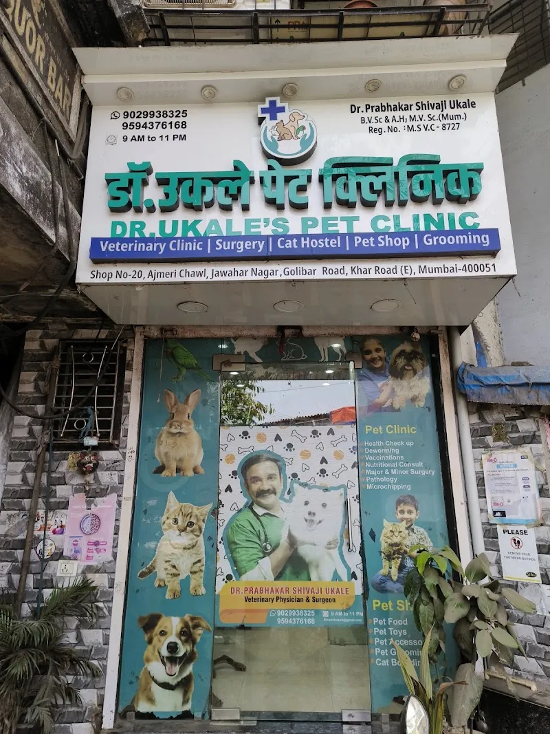डॉ. उकले वेटरिनरी पेट हेल्थ क्लिनिक photo