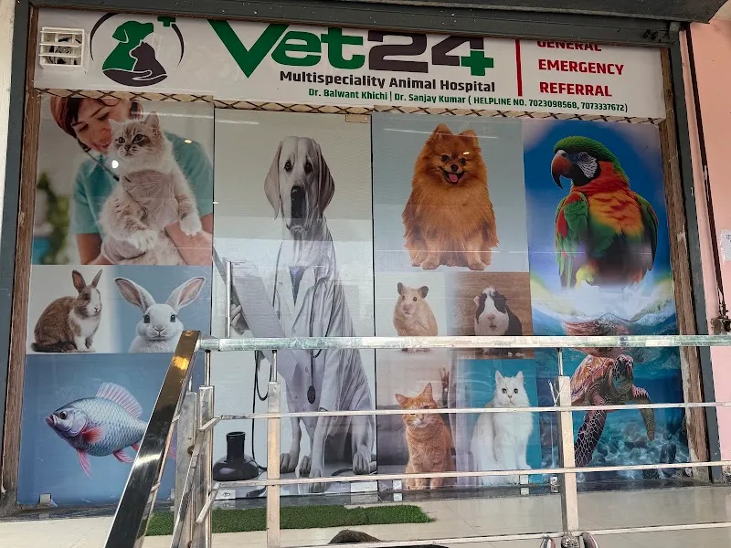 vet24 multispeciality animal hospital photo