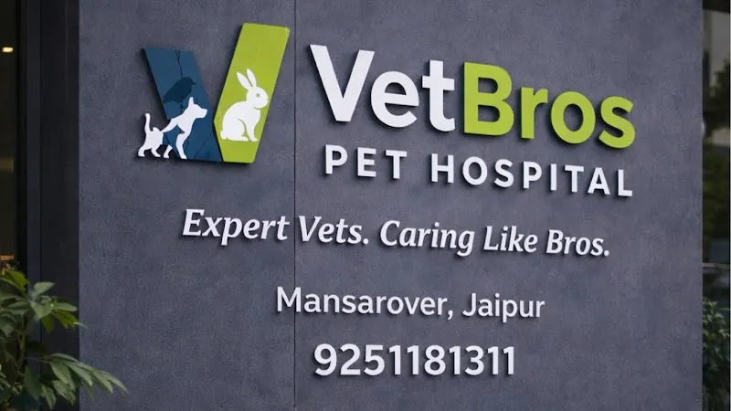 VetBros Pet Hospital – 24/7 Vet Care photo