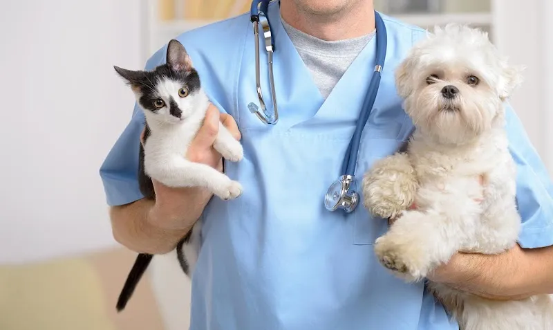 VetCare Pet Clinic photo