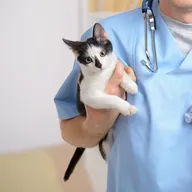 VetCare Pet Clinic photo