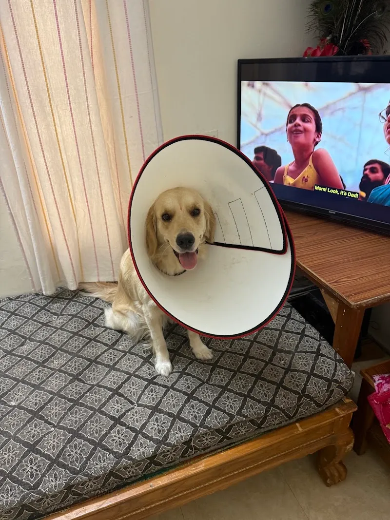 Vetcare pet clinic photo