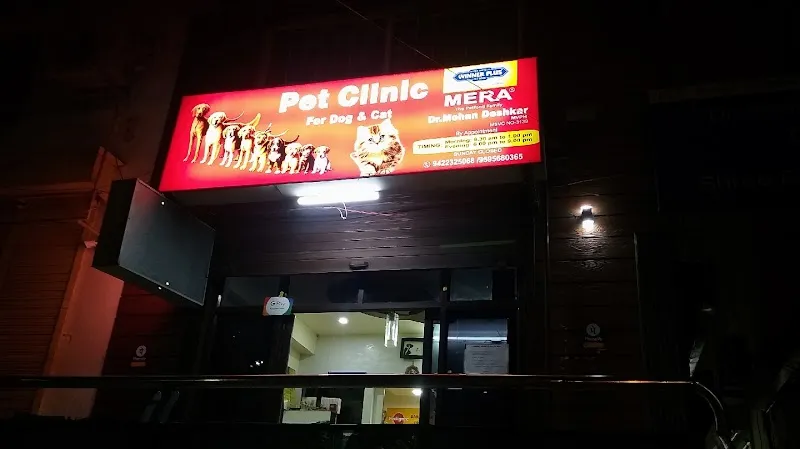 Veterinary Clinic in Pimpri-Chinchwad, Pune photo