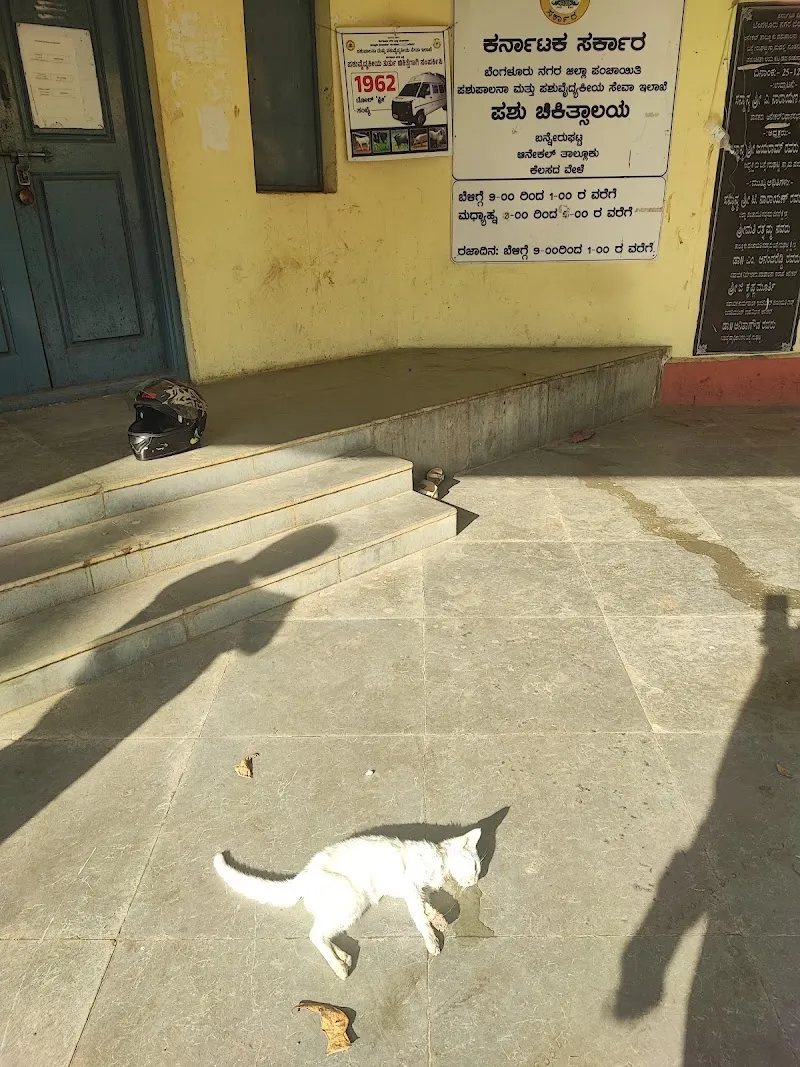 Veterinary Dispensary, Bannerughatta photo