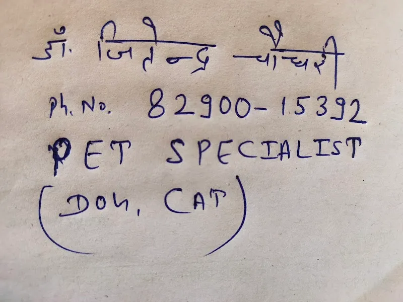 veterinary doctor Animal doctor Home services photo