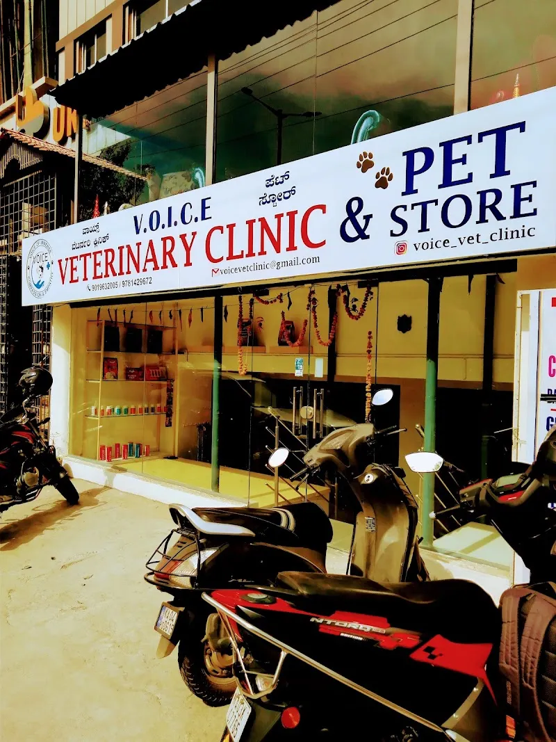 Veterinary Doctor home visits photo