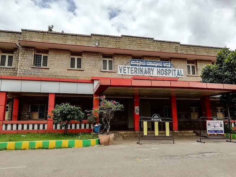 Veterinary Hospital photo