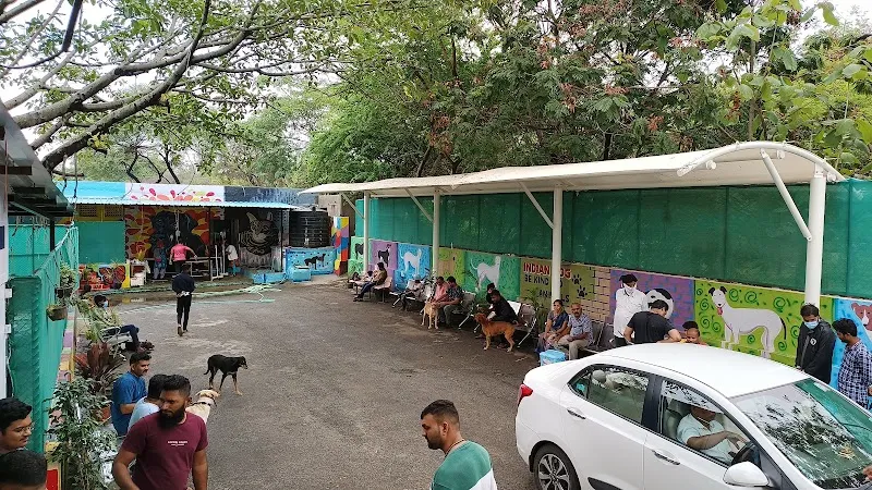 Veterinary Polyclinic, Pimpri photo