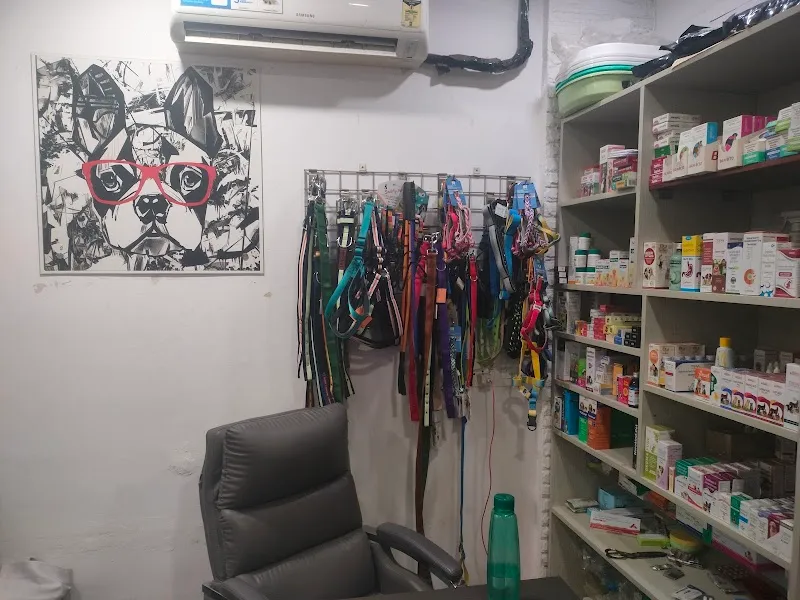 VetFirst – Dr. (Col) Ravi Girdhar photo