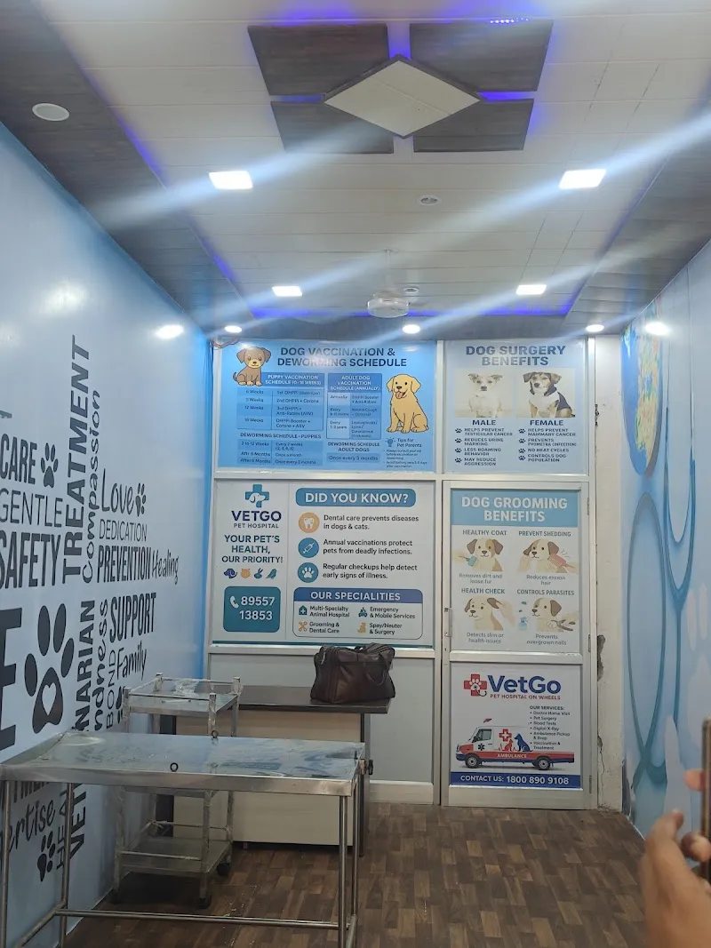 VetGo 24×7 Pet Doctor Home Service jaipur | Pet Vaccination | Pet clinic | Pet Home Blood test Collect | Pet Ambulance jaipur photo