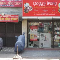 Vetic Pet Clinic / Doggy World (Derawal Nagar) photo