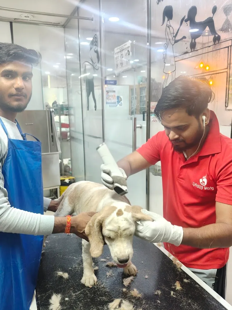 Vetic Pet Clinic / Doggy World (Rohini Sector 24) photo