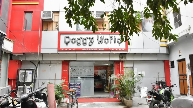Vetic Pet Clinic / Doggy World (Rohini Sector 8) photo