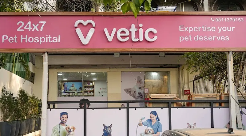 Vetic Pet Clinic (Greater Kailash 1) photo
