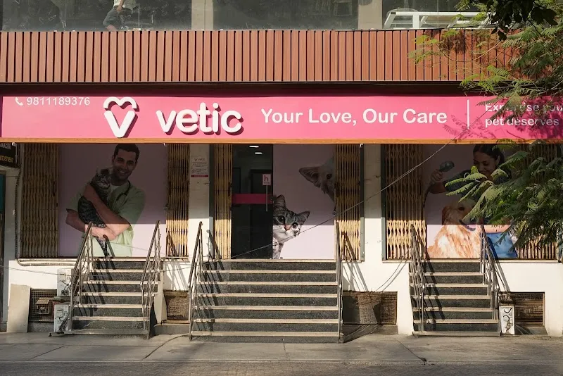 Vetic Pet Clinic (Indirapuram) photo