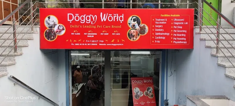 Vetic Pet Clinic (Paschim Vihar / Doggy World) photo