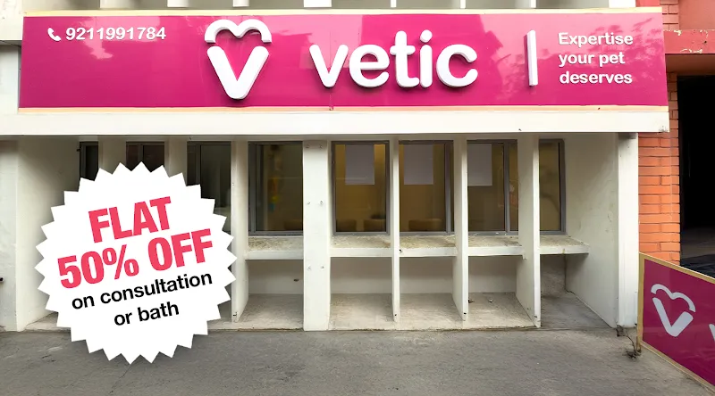 Vetic Pet Clinic (SDA Market, Hauz Khas) photo