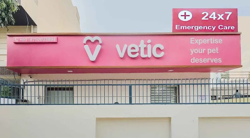 Vetic Pet Clinic (Sector 45) photo
