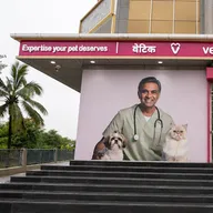 Vetic Pet Clinic Wakad photo