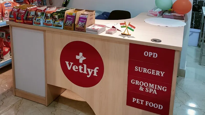 Vetlyf Pet Clinic photo
