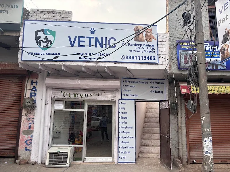 Vetnic Pet Clinic photo