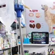 Vetopia Pet Clinic & Surgery Centre photo