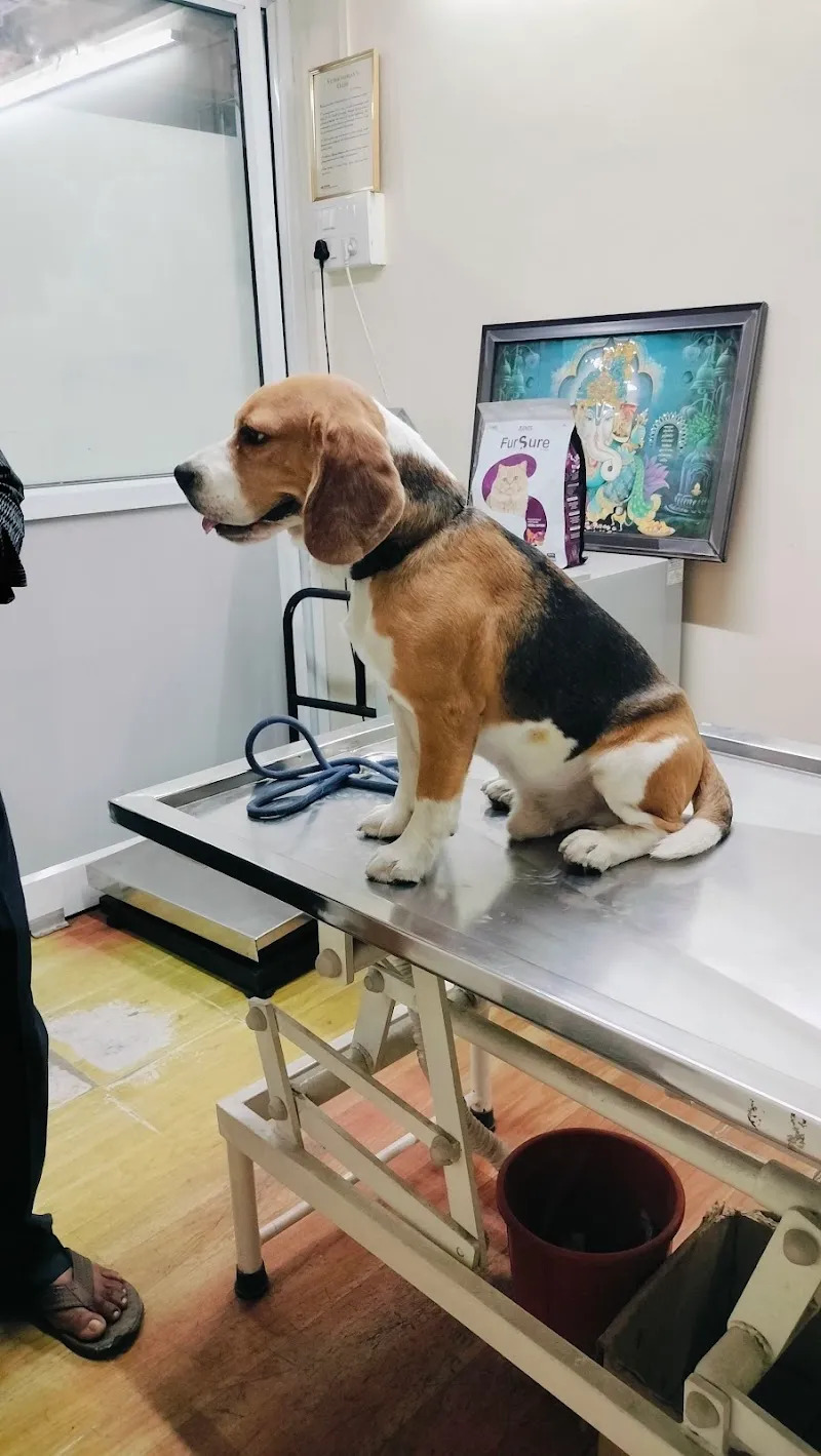 Vetpath petcare clinic photo