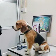 Vetpath petcare clinic photo