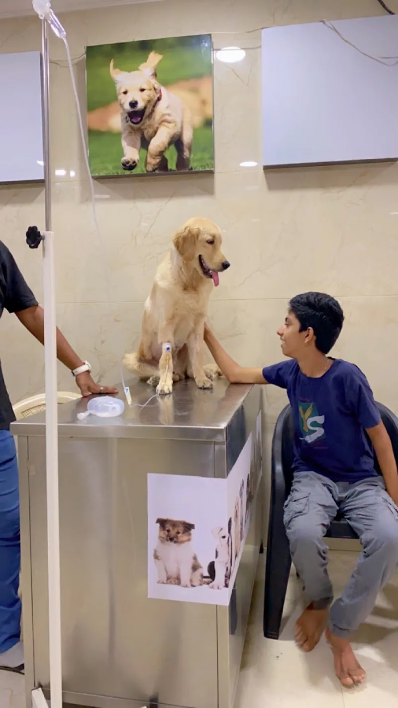 Vetri Veterinary Clinic & Surgical Centre photo