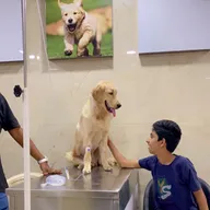 Vetri Veterinary Clinic & Surgical Centre photo