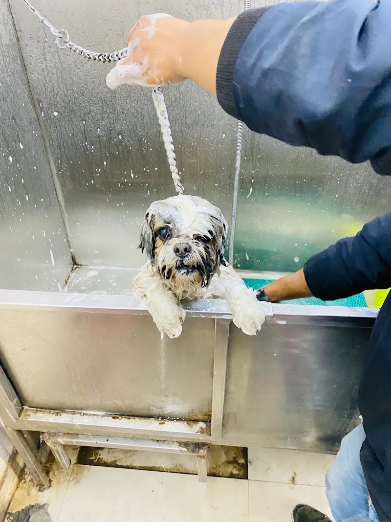 Vets & Pets Veterinary Clinic photo